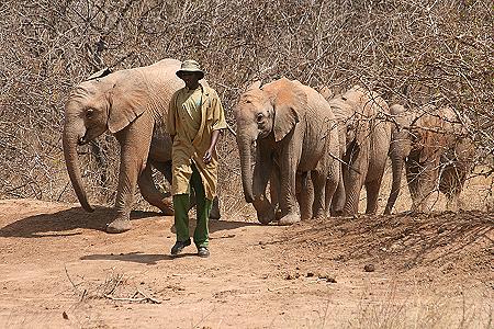 Ithumba Camp - David Sheldrick Wildlife Trust