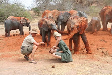 Ithumba Camp - David Sheldrick Wildlife Trust