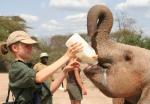 Ithumba Camp - David Sheldrick Wildlife Trust