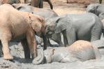 Ithumba Camp - David Sheldrick Wildlife Trust