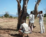 Kiwara privat Safari, Fusspirsch; Tsavo Ost National Park