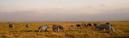 Sentrim Amboseli Camp