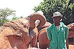 David Sheldrick Wildlife Trust